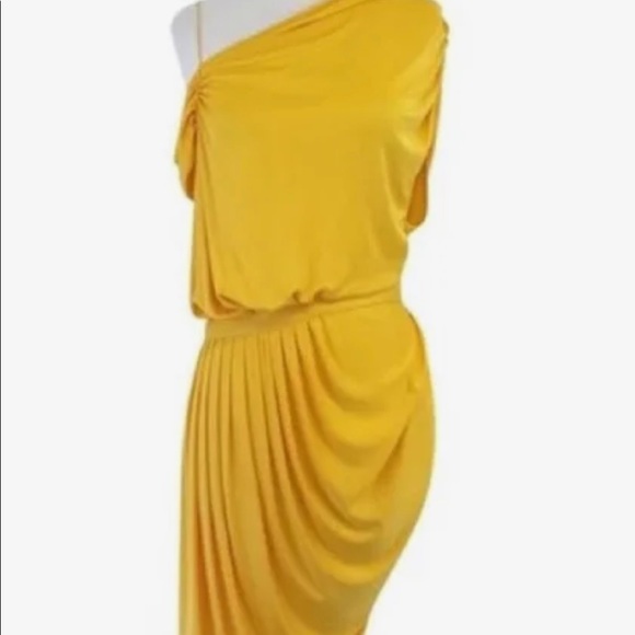 Barely Worn - Asymmetric Dress - Picture 1 of 4